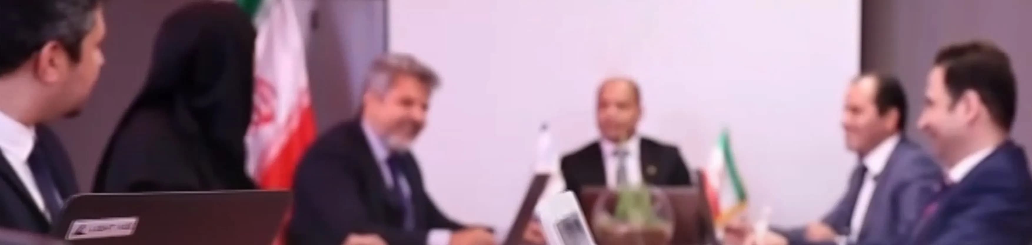 Contact Parnian Gostar Partosanj